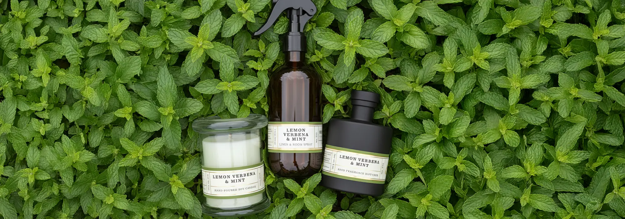 Lemon Verbena & Mint