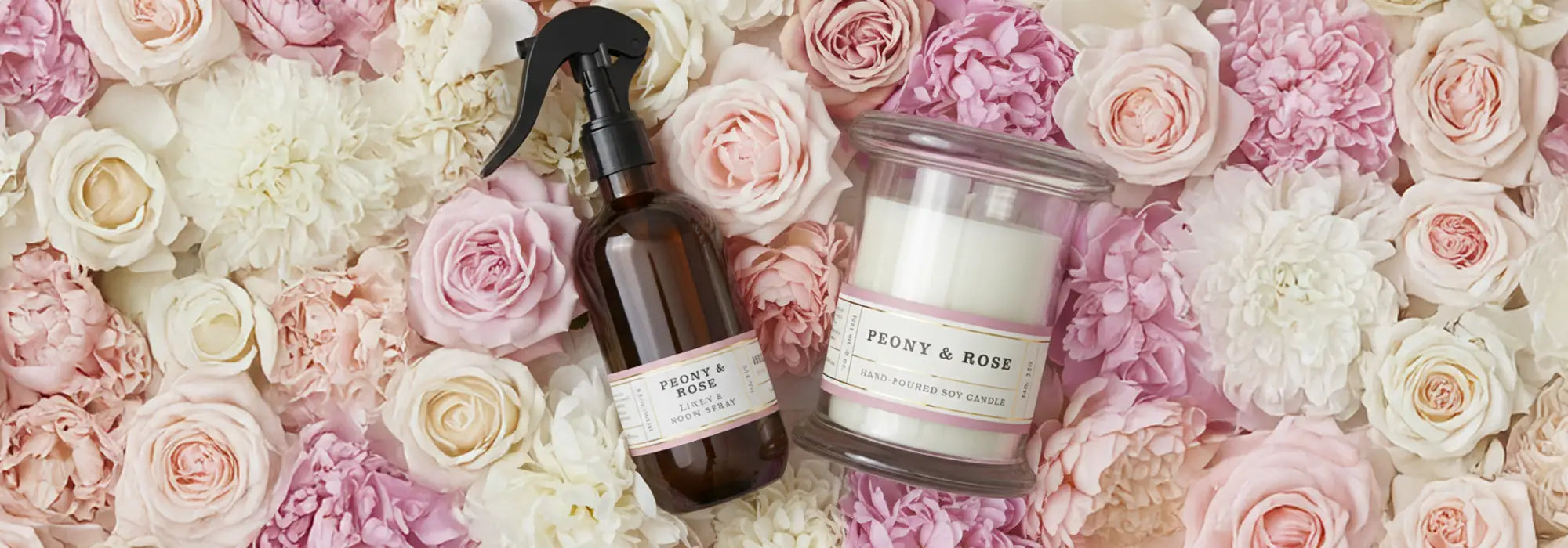 Peony & Rose
